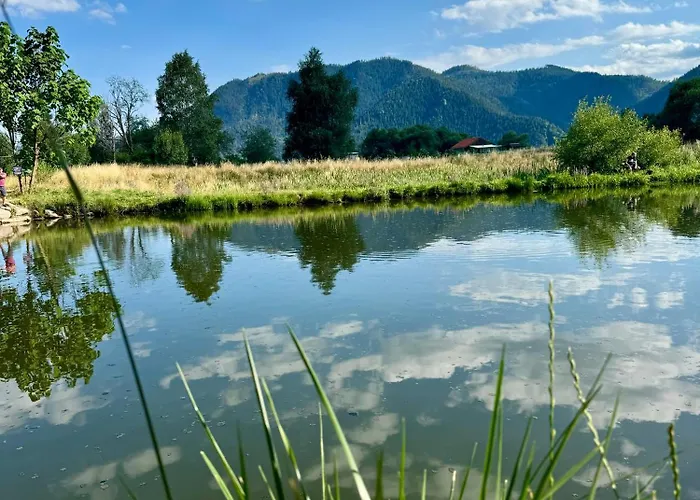 хубавото място - & Relax Next To Pamporovo *